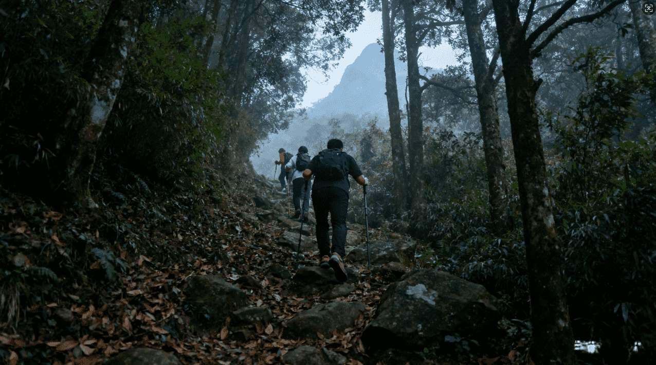 解决西柚加速器网络连接问题的方法